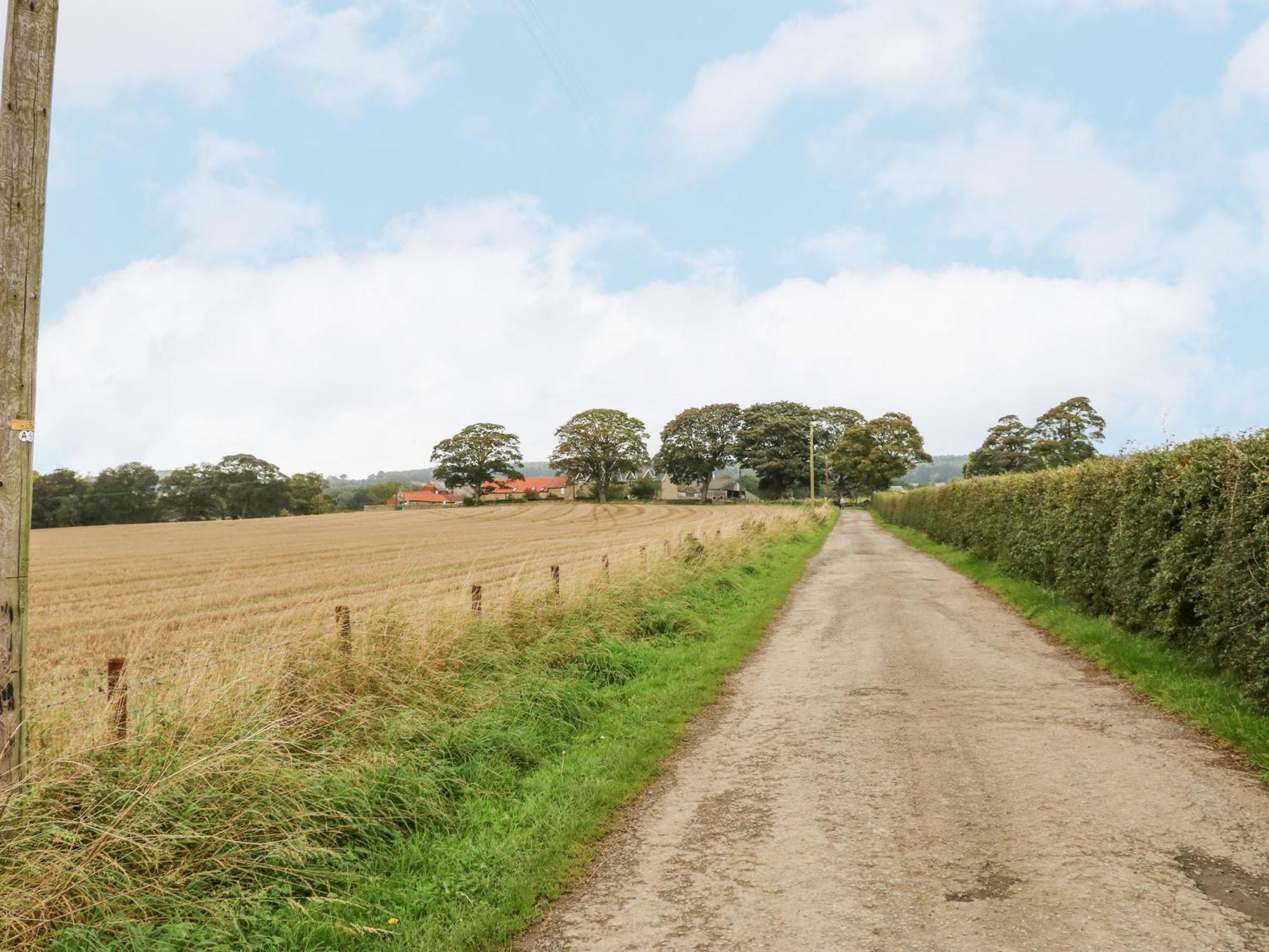 Sheep Pen Cottage Durham Bagian luar foto
